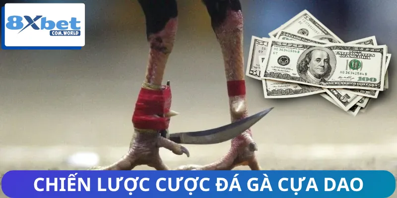 Chiến thuật hợp lý khi chơi đá gà cựa dao