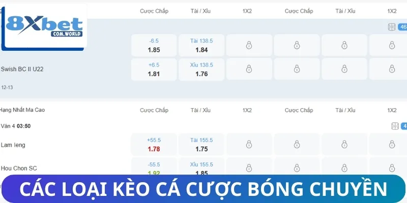 Tổng hợp các kèo cược bóng chuyền phổ biến hiện nay