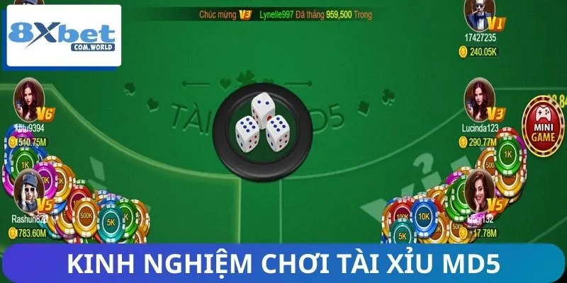Tài Xỉu MD5: Sảnh Cược Công Nghệ Mới Cực Minh Bạch, Hấp Dẫn 3 Chơi Tài Xỉu như chuyên gia nhờ bí kíp cao thủ