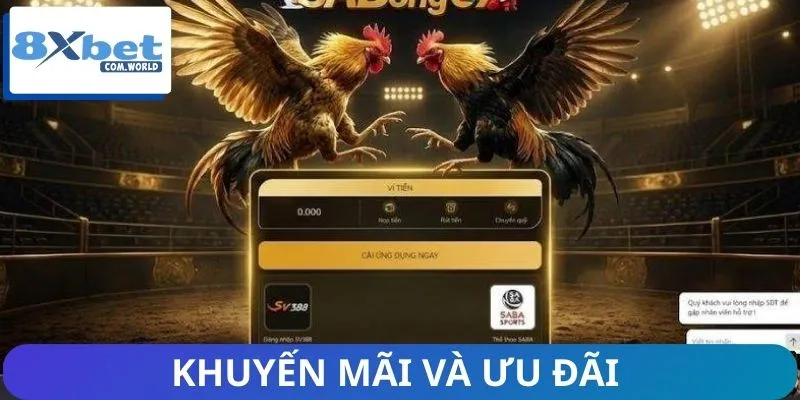 Người Chơi Đánh Giá Sàn Đá Gà 8XBET Ra Sao? 3 Hệ thống siêu ưu đãi tại nhà cái