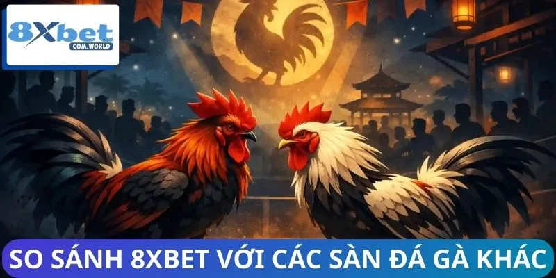 Người Chơi Đánh Giá Sàn Đá Gà 8XBET Ra Sao? 2 Sàn đá gà tại 8XBET vượt trội hơn hẳn