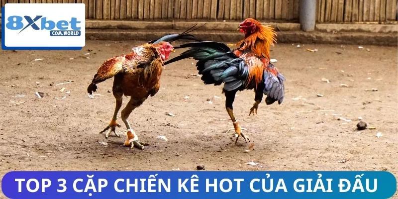 Giới thiệu 3 cặp chiến kê tạo nên cơn sốt