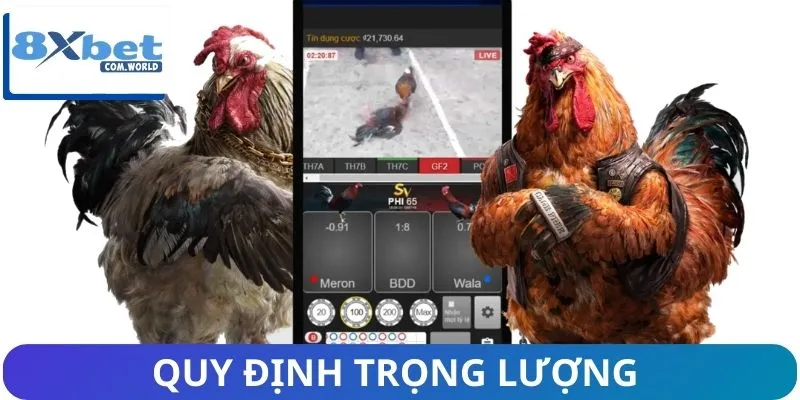 Chi tiết quy định về trọng lượng và bảng đấu