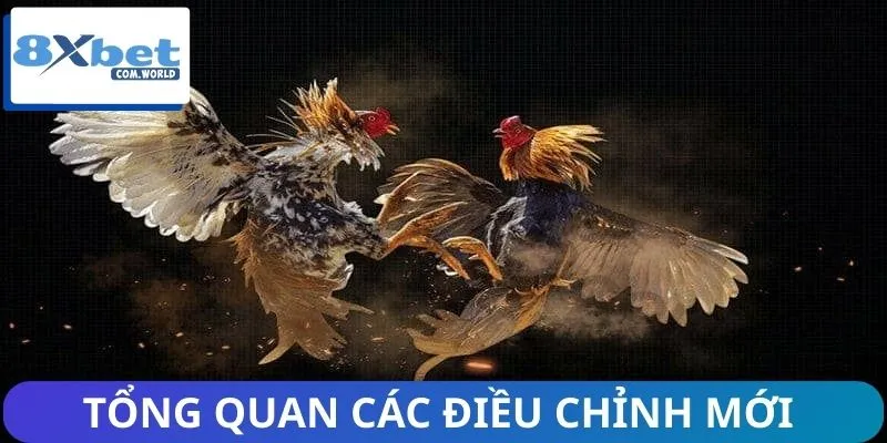 Đôi nét về luật thi đấu đá gà mới nhất