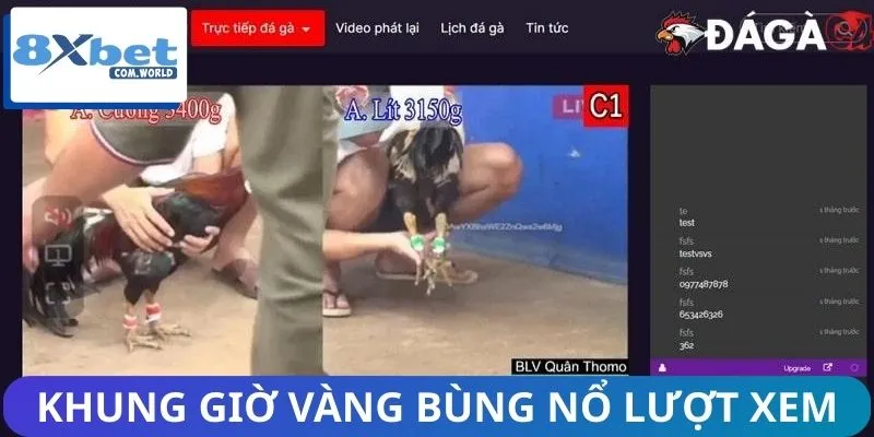 Xu Hướng Người Xem Đá Gà Live 8XBET – Làn Sóng Mới 2026 3 Những khung giờ có lượng người truy cập đông đảo