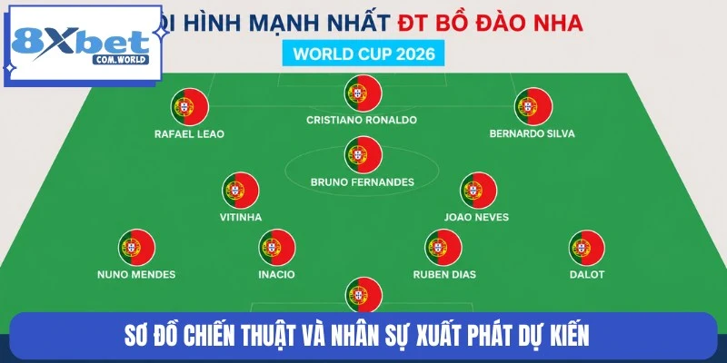 Soi Kèo Bồ Đào Nha Vs CHDC Congo World Cup 00:00 18/06 8XBET 2 Sơ đồ chiến thuật, đội hình dự kiến của cả hai đội